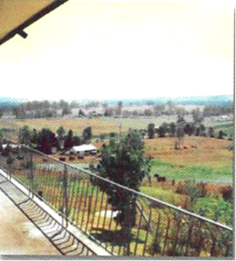 1980 – Mental Health Coordinating Council Founded