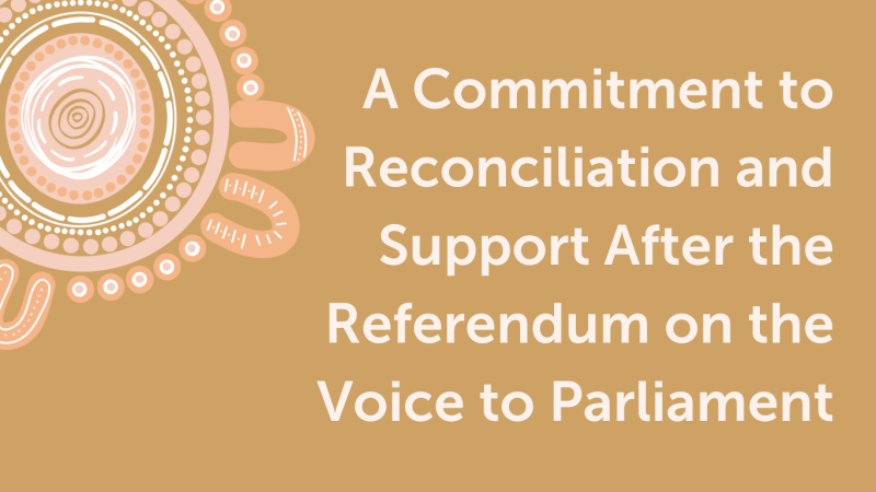 Voice to parliament