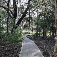 fitness for mental health