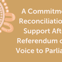 Voice to parliament