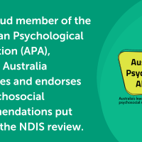NDIS Review
