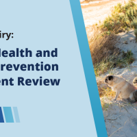 mental health review