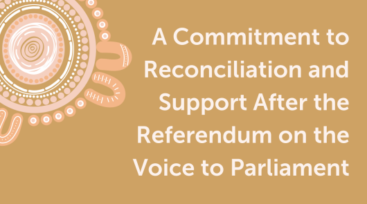 Voice to parliament