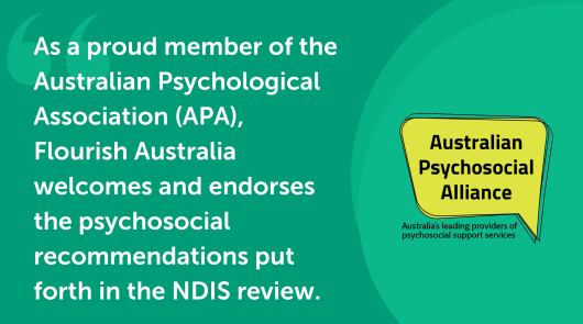 NDIS Review