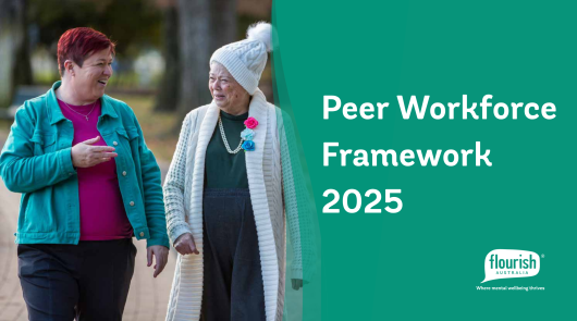 Peer Workforce Framework