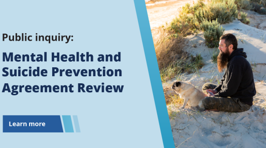 mental health review